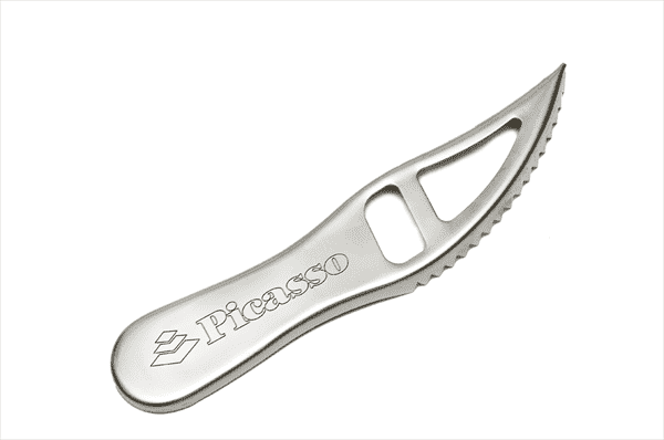 Picasso stainless steel fish scaler