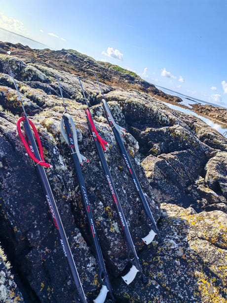 Four Pathos spearguns arranged on rocks beside an Irish shoreline