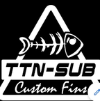 TTN-Sub logo