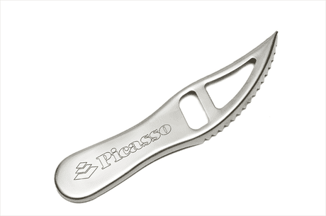 Picasso stainless steel fish scaler